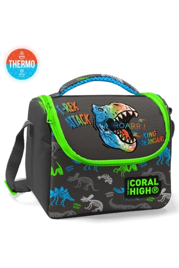 Coral High Kids Gri Dinozor Desenli Thermo Beslenme Çantası 11864 - Coral High KIDS