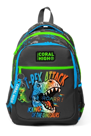 Coral High Kids Gri Dinozor Desenli Üç Bölmeli Okul Sırt Çantası 23482 - 7